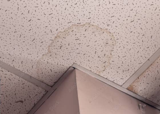 天井に広がる円形の雨染み、劣化した建物の内部