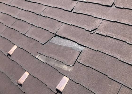 建物屋上の広いコンクリートスペースに広がる黒ずみ